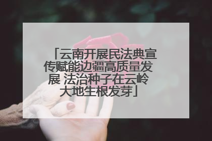 云南开展民法典宣传赋能边疆高质量发展 法治种子在云岭大地生根发芽