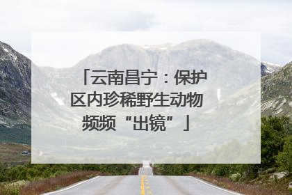 云南昌宁：保护区内珍稀野生动物频频“出镜”