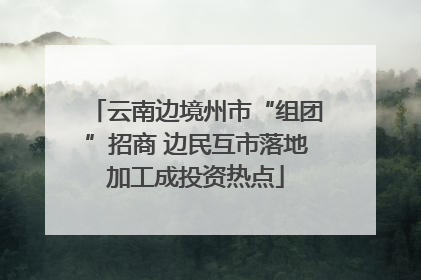 云南边境州市“组团”招商 边民互市落地加工成投资热点