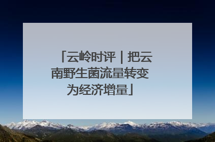 云岭时评｜把云南野生菌流量转变为经济增量