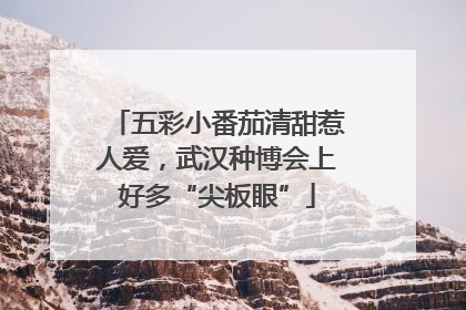 五彩小番茄清甜惹人爱，武汉种博会上好多“尖板眼”