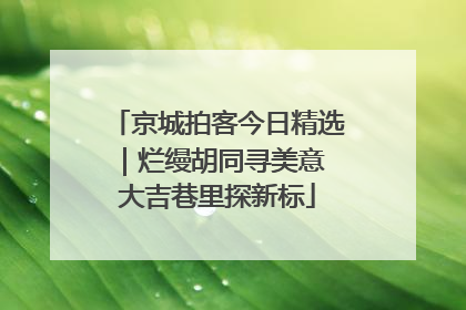 京城拍客今日精选｜烂缦胡同寻美意 大吉巷里探新标
