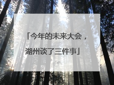 今年的未来大会，湖州谈了三件事