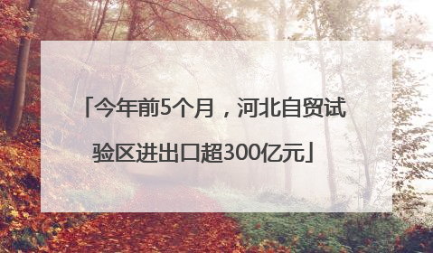 今年前5个月，河北自贸试验区进出口超300亿元