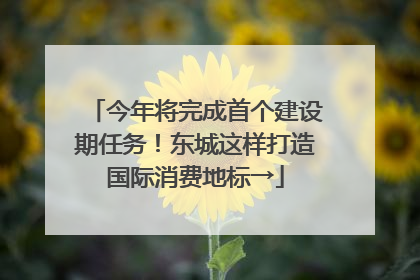 今年将完成首个建设期任务！东城这样打造国际消费地标→