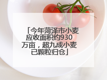 今年菏泽市小麦应收面积约930万亩，超九成小麦已颗粒归仓