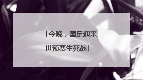 今晚，国足迎来世预赛生死战