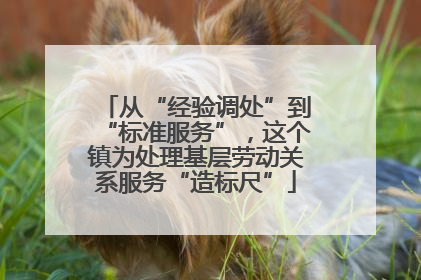 从“经验调处”到“标准服务”，这个镇为处理基层劳动关系服务“造标尺”