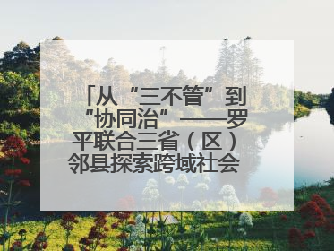 从“三不管”到“协同治”——罗平联合三省（区）邻县探索跨域社会治理新模式