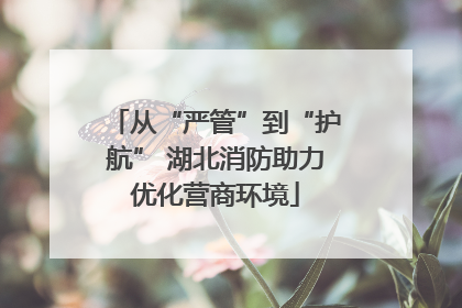 从“严管”到“护航” 湖北消防助力优化营商环境