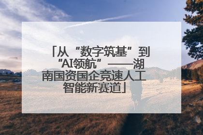 从“数字筑基”到“AI领航”——湖南国资国企竞速人工智能新赛道