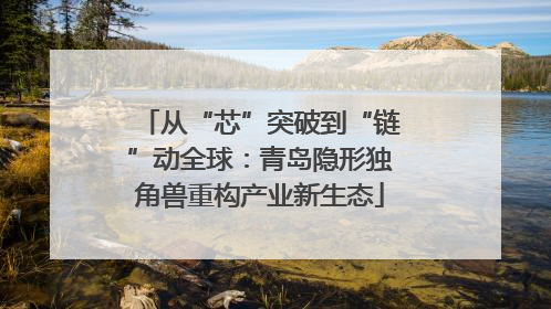 从“芯”突破到“链”动全球：青岛隐形独角兽重构产业新生态