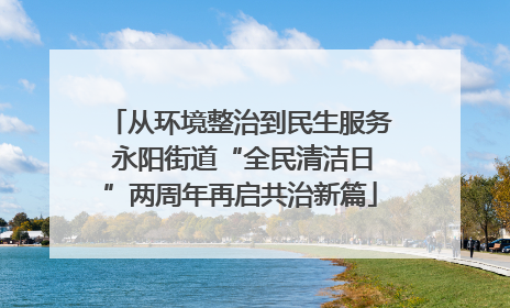 从环境整治到民生服务 永阳街道“全民清洁日”两周年再启共治新篇