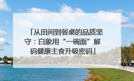 从田间到餐桌的品质坚守：白象用“一碗面”解码健康主食升级密码