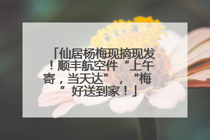 仙居杨梅现摘现发！顺丰航空件“上午寄，当天达”，“梅”好送到家！