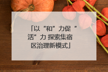 以“和”力促“活”力 探索集宿区治理新模式