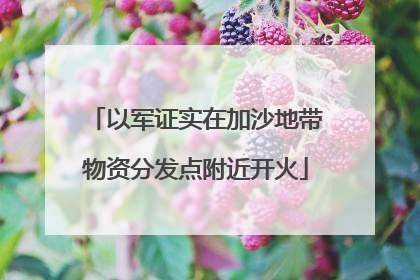 以军证实在加沙地带物资分发点附近开火