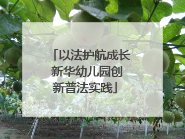 以法护航成长 新华幼儿园创新普法实践