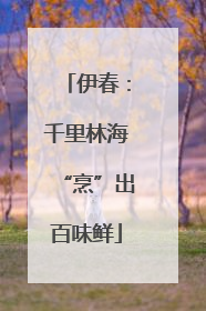 伊春：千里林海“烹”出百味鲜