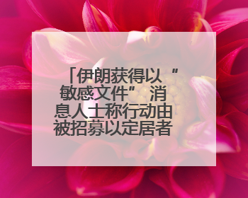 伊朗获得以“敏感文件” 消息人士称行动由被招募以定居者完成