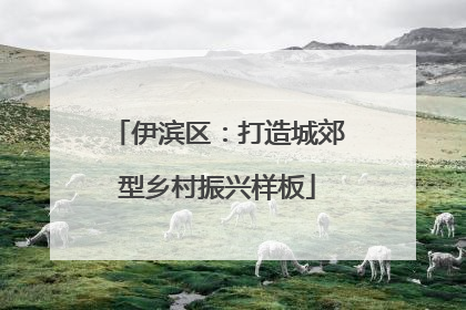 伊滨区：打造城郊型乡村振兴样板