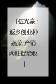 伍光豪：返乡创业种蔬菜 产销两旺促增收