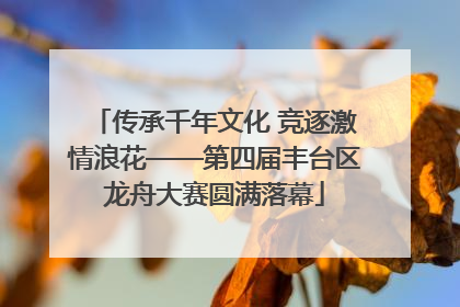 传承千年文化 竞逐激情浪花——第四届丰台区龙舟大赛圆满落幕