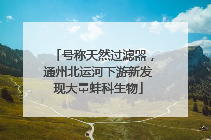 号称天然过滤器，通州北运河下游新发现大量蚌科生物