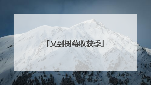 又到树莓收获季