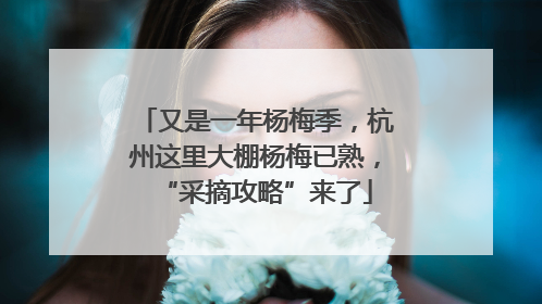 又是一年杨梅季，杭州这里大棚杨梅已熟，“采摘攻略”来了