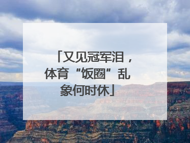 又见冠军泪，体育“饭圈”乱象何时休