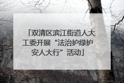 双清区滨江街道人大工委开展“法治护绿护安人大行”活动