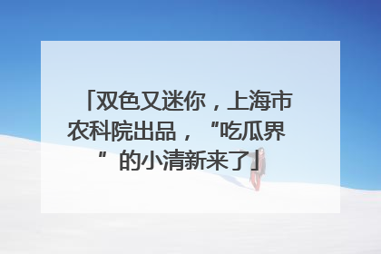 双色又迷你，上海市农科院出品，“吃瓜界”的小清新来了