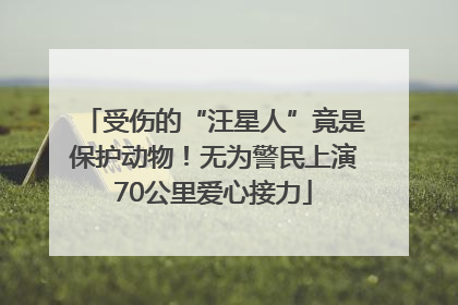 受伤的“汪星人”竟是保护动物！无为警民上演70公里爱心接力