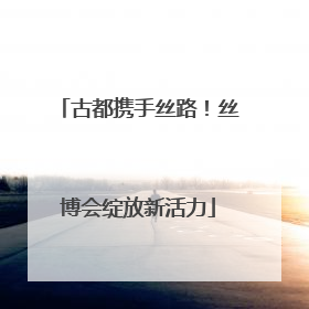 古都携手丝路！丝博会绽放新活力