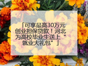 可享最高30万元创业担保贷款！河北为高校毕业生送上“就业大礼包”