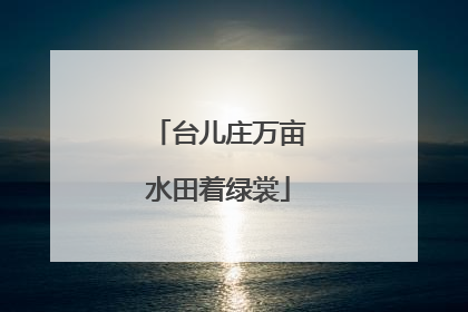 台儿庄万亩水田着绿裳