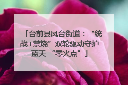 台前县凤台街道：“统战+禁烧”双轮驱动守护蓝天 “零火点”