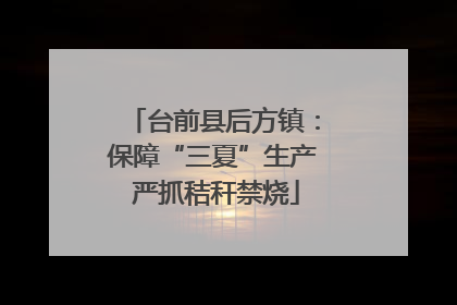台前县后方镇：保障“三夏”生产 严抓秸秆禁烧