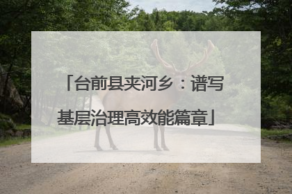台前县夹河乡：谱写基层治理高效能篇章