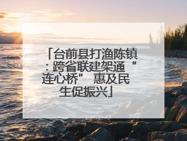 台前县打渔陈镇：跨省联建架通“连心桥” 惠及民生促振兴