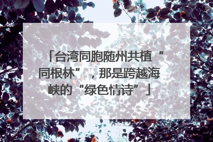 台湾同胞随州共植“同根林”，那是跨越海峡的“绿色情诗”