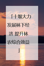 十堰大力发展林下经济 提升林农综合效益