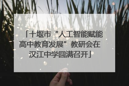 十堰市“人工智能赋能高中教育发展”教研会在汉江中学圆满召开