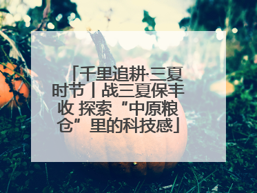 千里追耕·三夏时节丨战三夏保丰收 探索“中原粮仓”里的科技感