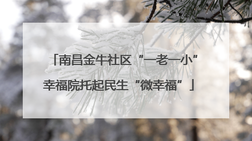 南昌金牛社区“一老一小”幸福院托起民生“微幸福”