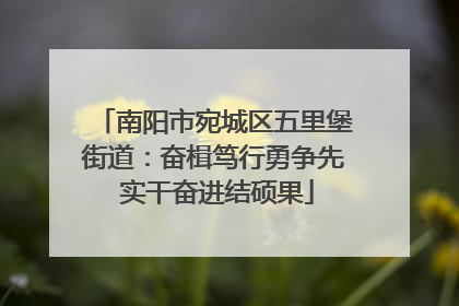 南阳市宛城区五里堡街道：奋楫笃行勇争先 实干奋进结硕果