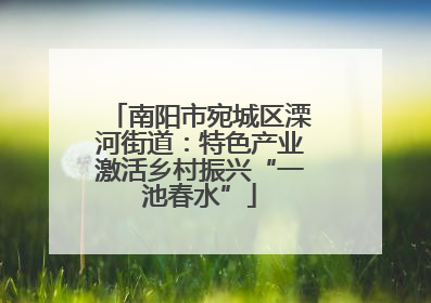 南阳市宛城区溧河街道：特色产业激活乡村振兴“一池春水”