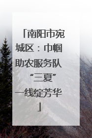南阳市宛城区：巾帼助农服务队 “三夏”一线绽芳华