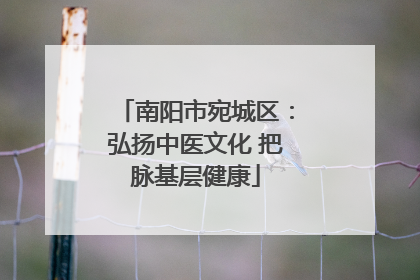 南阳市宛城区：弘扬中医文化 把脉基层健康